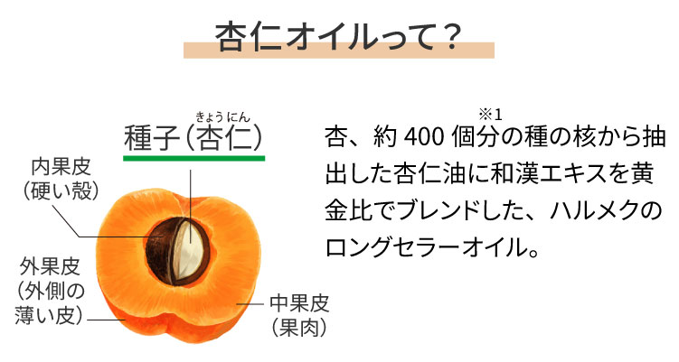 �ǐm�I�C�����āH
