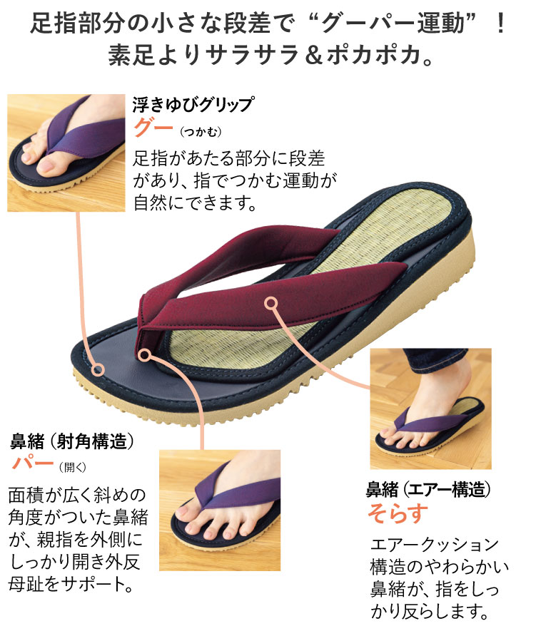 ���w�����̏����Ȓi���Łg�O�[�p�[�^���h�I�f�����T���T�����|�J�|�J�B