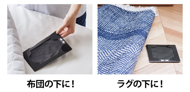 �z�c�̉��ɁI���O�̉��ɁI