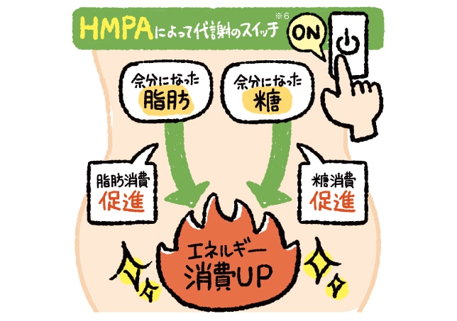 ���[�t���h���イ�������s�V���c �_�[�N�u���[