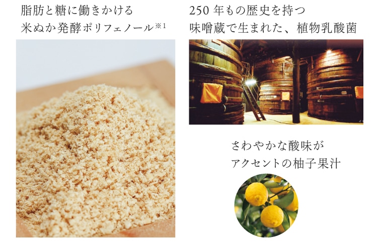 �q�A�������_ �R���[�Q���y�v�`�h ���_��