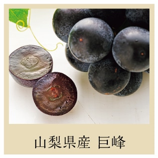 �R�����Y ����