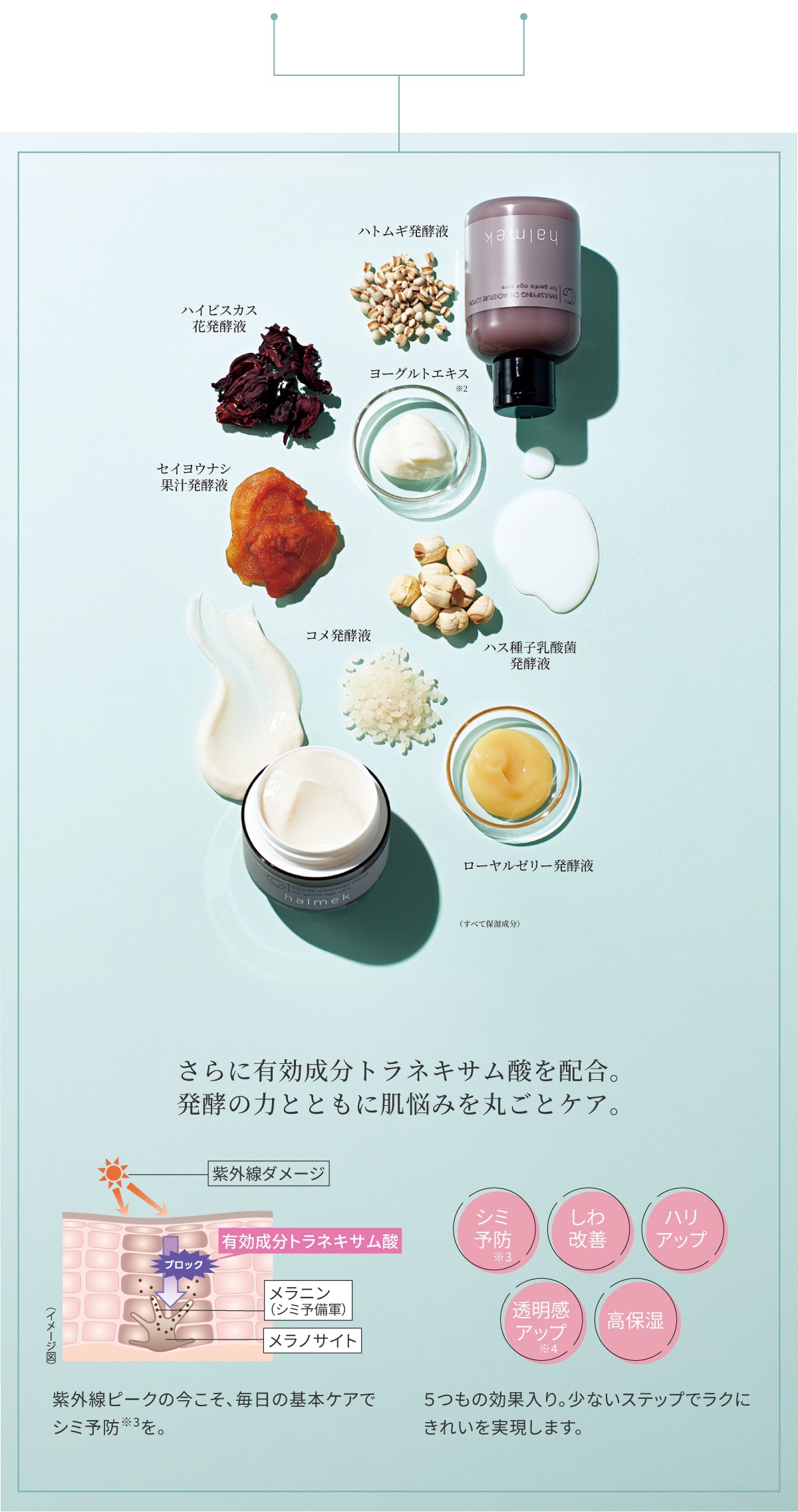 発酵スキンケア