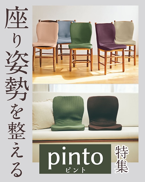 ンpinto特集