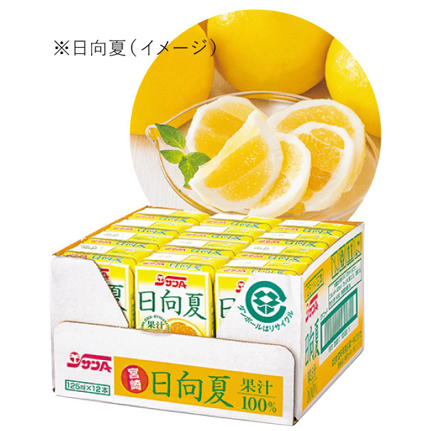 �{�茧�Y ������ 100���W���[�X�i24�{�j