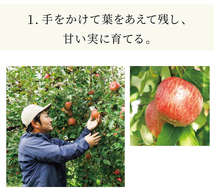 1. ��������ėt�������Ďc���A�Â����Ɉ�Ă�B