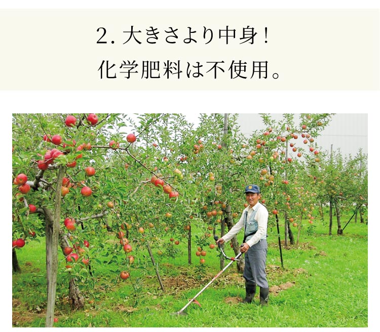 2.�傫����蒆�g�I���w�엿�͕s�g�p�B