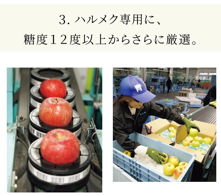 3. �n�����N��p�ɁA���x�P�Q�x�ȏォ�炳��Ɍ��I�B