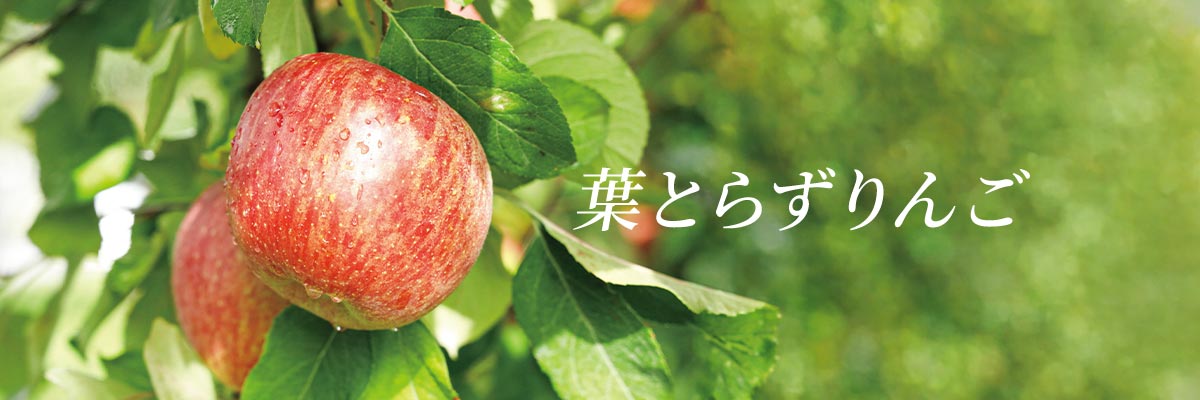 �t�Ƃ炸���