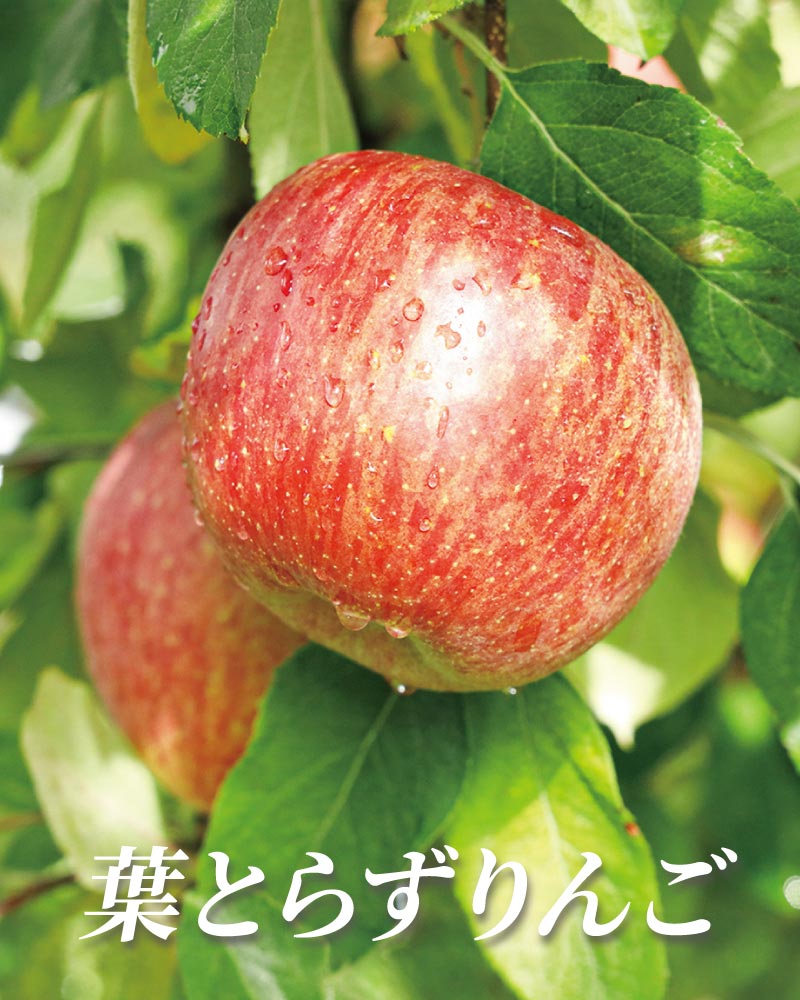 �t�Ƃ炸���