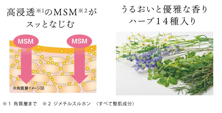 ���Z����1��MSM���Q���X�b�ƂȂ��� ���邨���ƗD��ȍ���n�[�u�P�S�����