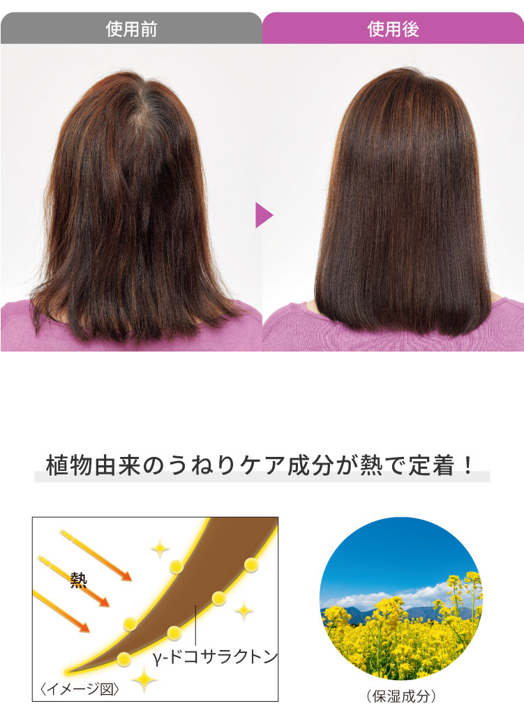 �n�����N �┯ �w�A�g���[�g�����g�p�b�N