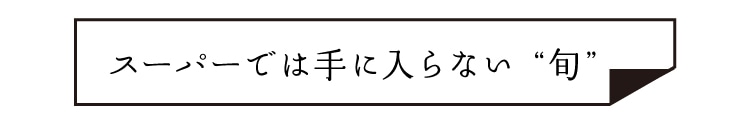 �X�[�p�[�ł͎�ɓ���Ȃ��g�{�h
