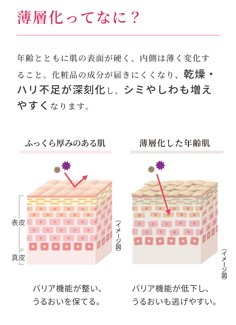 発酵オールインワン