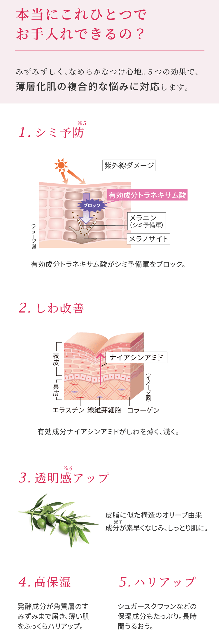 発酵オールインワン