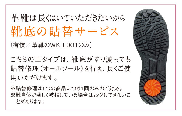 �A�T�q ���f�B�J���E�H�[�N WK L001