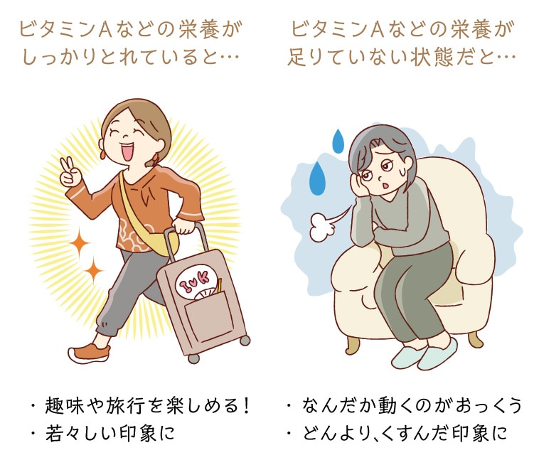 �r�^�~���`�Ȃǂ̉h�{����������Ƃ�Ă��� ����Ă��Ȃ����