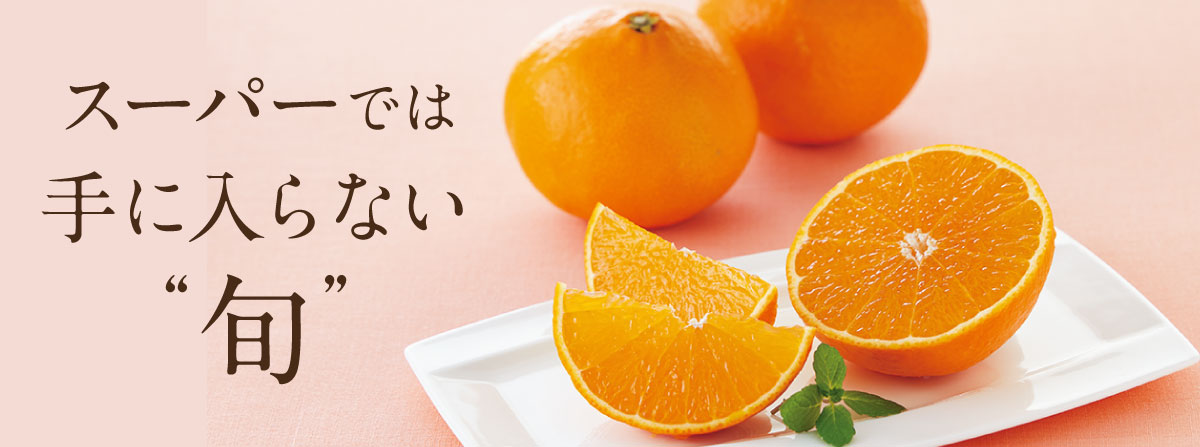 �X�[�p�[�ł͎�ɓ���Ȃ��{