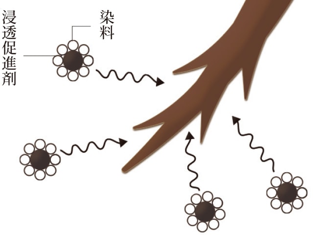 �ѐ�Ȃǂɂ́A�Z�����i�܂ŐZ���B