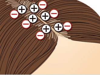 �������Ă̔����ɋz�����₷���_������