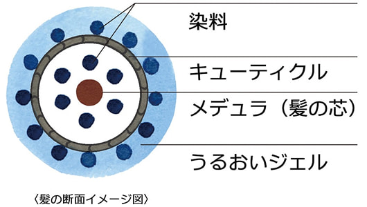 ���̒f�ʃC���[�W�}