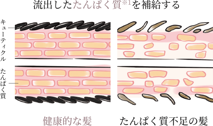 ���o��������ς�����1��⋋����