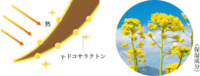 ���̒f�ʃC���[�W�}