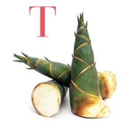 �^�P�m�R���o�t