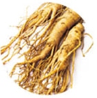 �j���W�����o�t