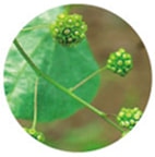 �^�}�T�L�c�d���t�W