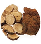 �J���]�E�G�L�X�i�O���`�����`���_�W�J�����j