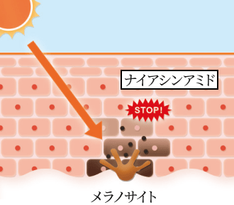 �����P�A�̓���