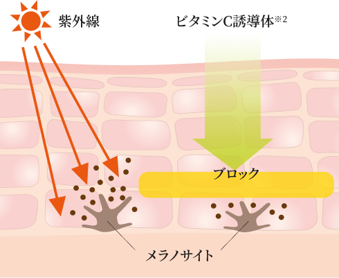 �V�~���ł���̂�h��