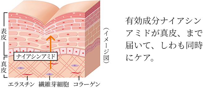 ������P�܂łł�����̂͊�