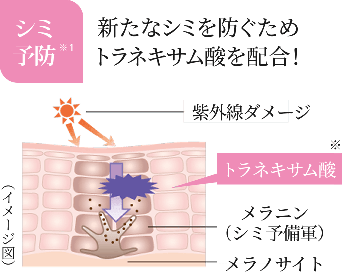 �X�L���P�A�̌�Ɏ�̂Ђ�ŃX�[�b�Ƃ̂΂������B