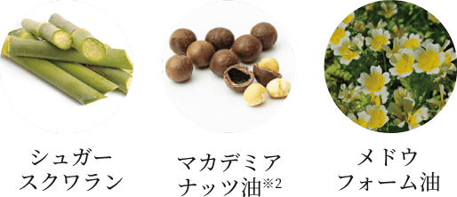 ��l���ɕK�v�Ȕ������������I���A�����Ղ�z���B