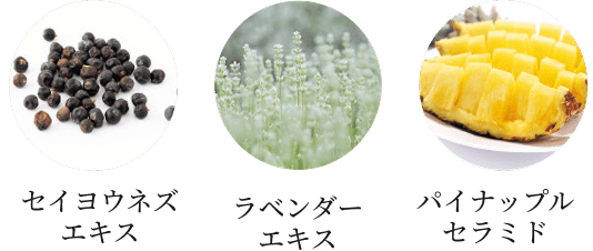 ���ׂĕێ�����