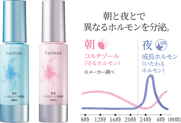 ���Ɩ�Ńz�������𕪔�