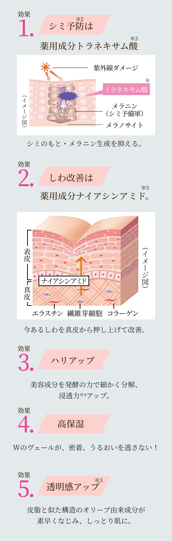 ���p����p��5�̌��ʂ��Ïk�B