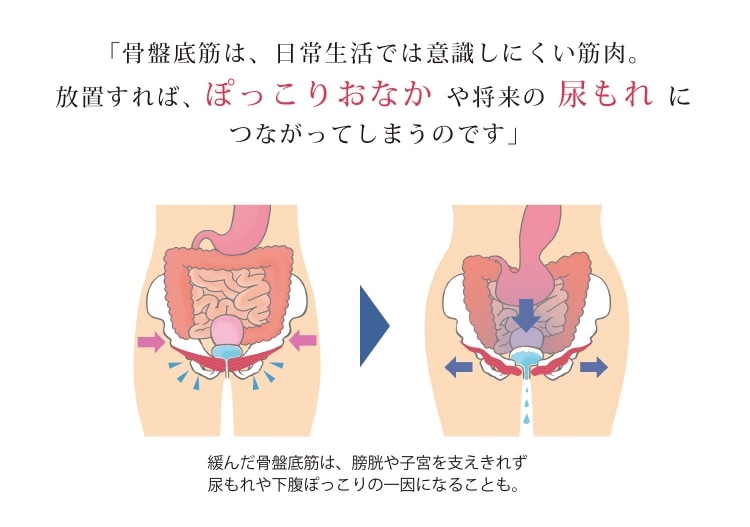 放置すれば、ぽっこりおなかや将来の尿もれにつながってしまうのです