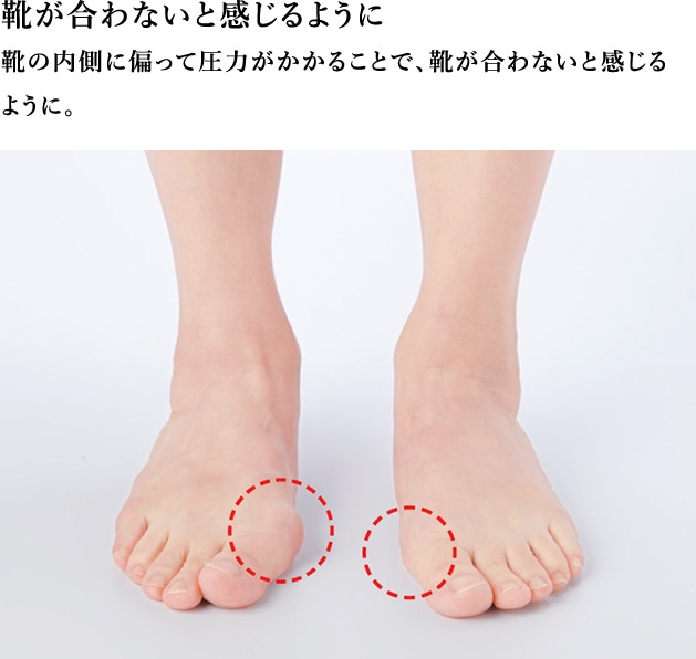 CȂƊ悤