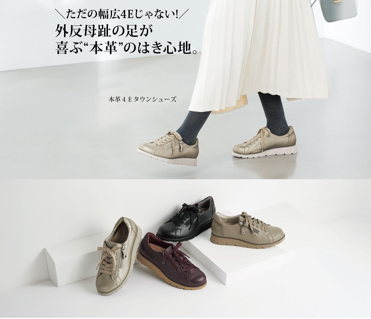 �n�����N �{�v�SE�^�E���V���[�Y